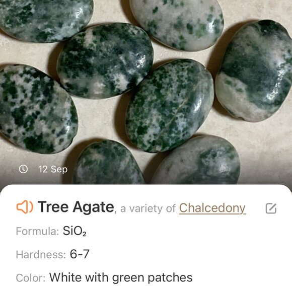 2/$20, Genuine Tree Agate Bracelet, Natural Green Gemstone & Bronze Grape Leaf - Picture 10 of 13